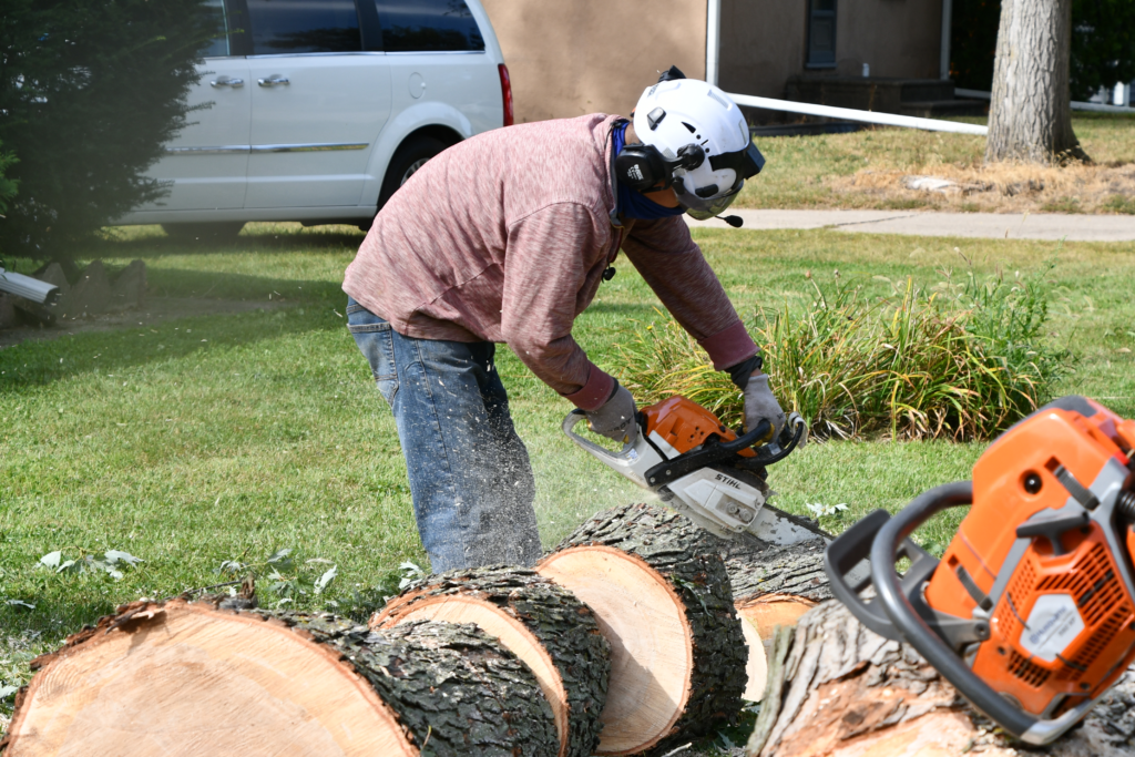Stump Removal