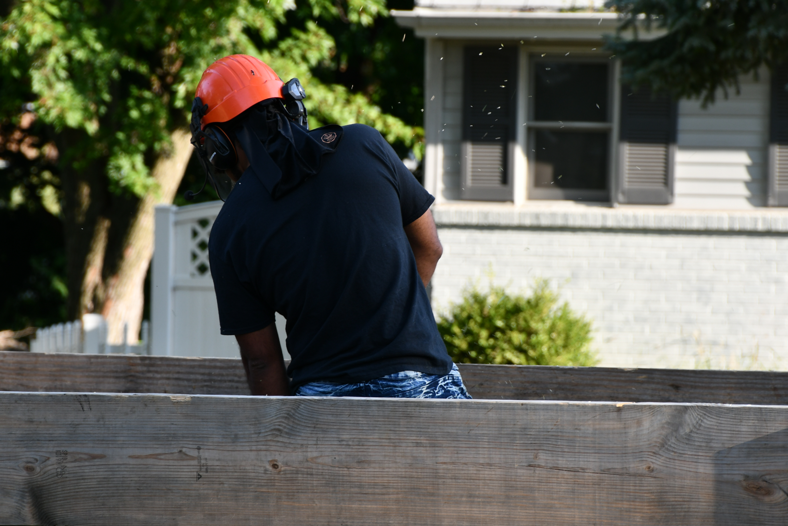 Beloit WI tree care