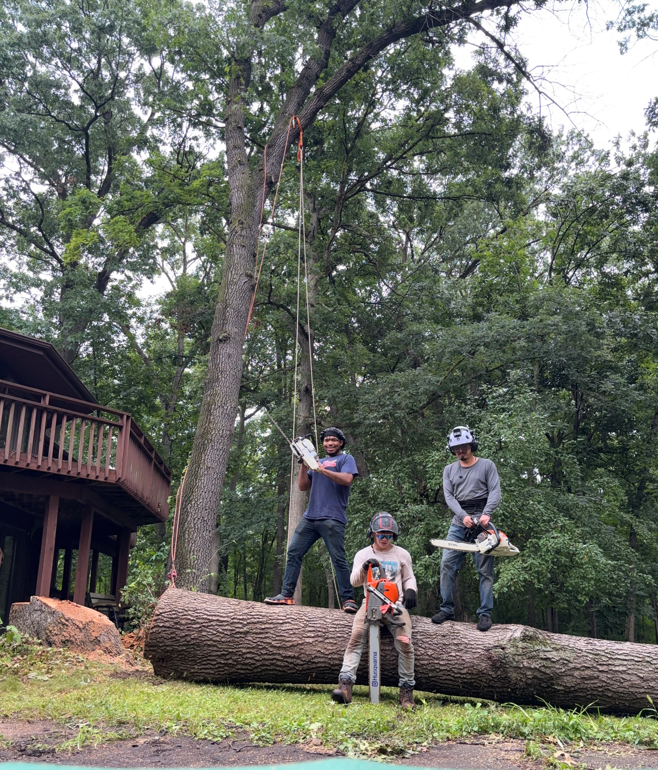 tree service in Cherry Valley IL