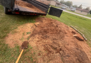 stump digging 1 scaled e1758575083885