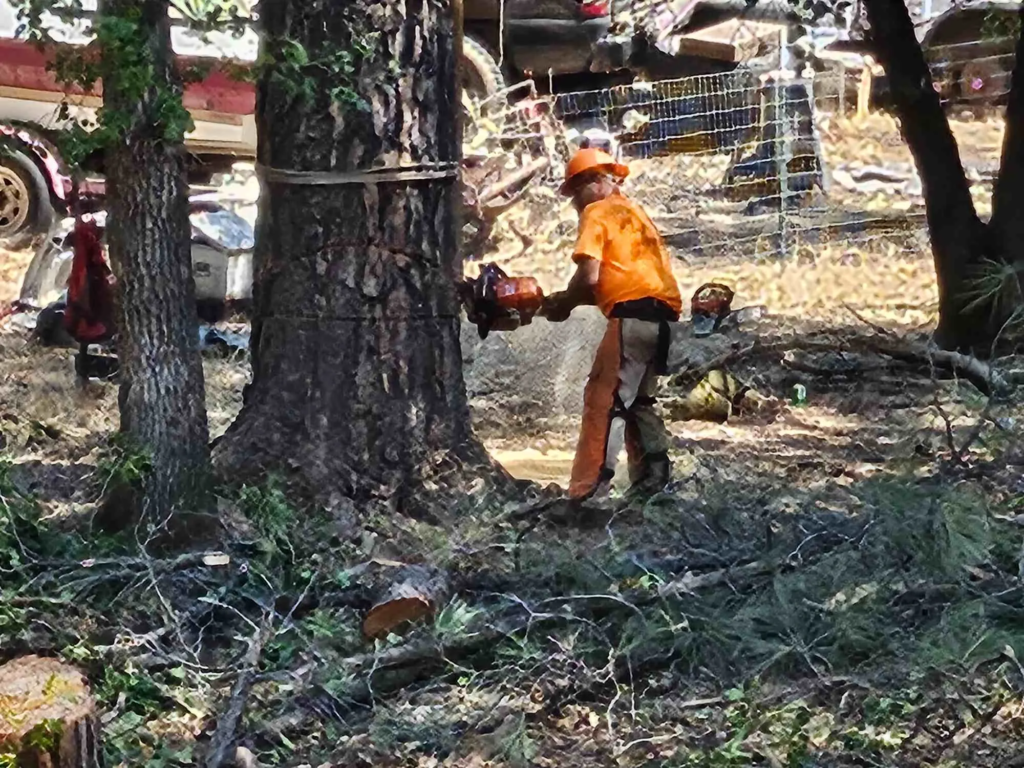Easy Does It tree service redding ca 42 1
