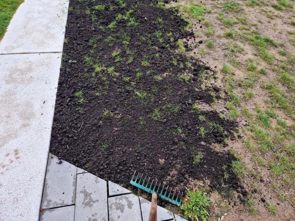 grass reseeding service