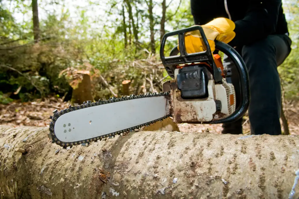 tree cutting service in caledonia