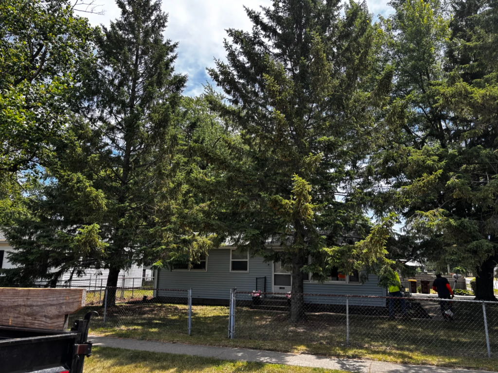 beloit tree service beloit wi 4